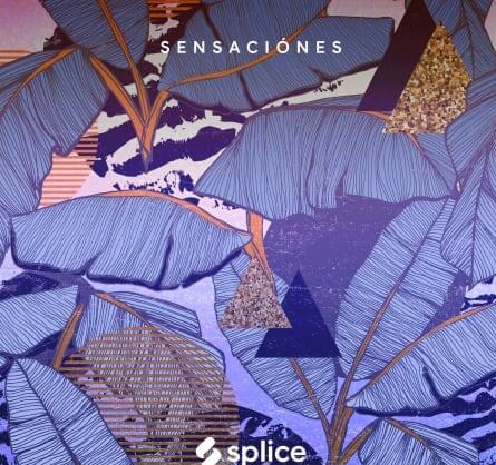 Splice Originals Sensaciones Latin RnB WAV